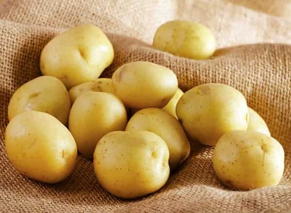 تصویر 4 از خرید سیب زمینی تازه جیرفت + قیمت فروش استثنایی